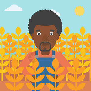 在小麦田工作的青年非裔农民 图片