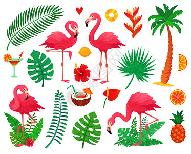 棕榈绿色非洲植物野生叶花卉雨林朵热带棕榈叶和玫瑰火烈鸟以及夏季成品矢量图图片