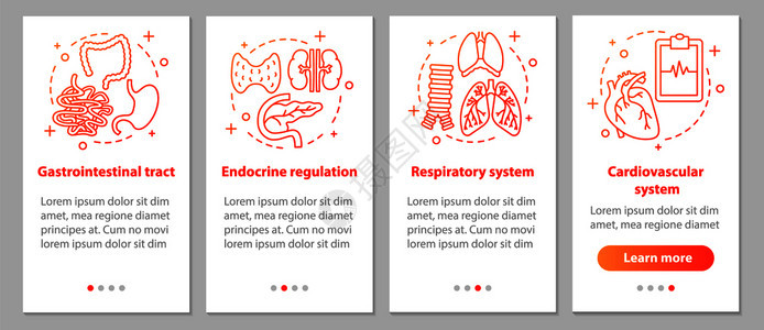 呼吸系统和心血管胃肠道内分泌调节步骤uxig矢量插图背景图片