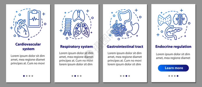 呼吸系统和心血管胃肠道内分泌调节步骤uxig矢量插图图片