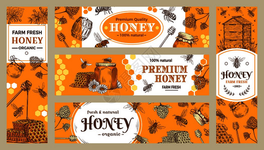 蜂蜡或罐贴纸蜜饲养者生态美食品广告销售标签或小册子矢量收集蜂标健康糖果天然蜜蜂罐和农场产品图片