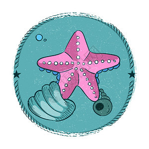 手绘海星和贝壳徽章图片