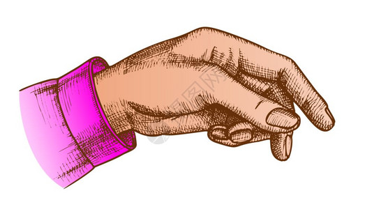 显示手势矢量的指优雅的女手臂指箭针向某物女孩手腕擦伤者用于选择切口卡通插图彩色女手指显示势矢量图片