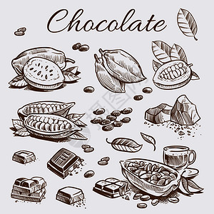 收集巧克力元素手工绘制可豆巧克力条和树叶矢量说明巧克力元素收集手绘制可豆图片