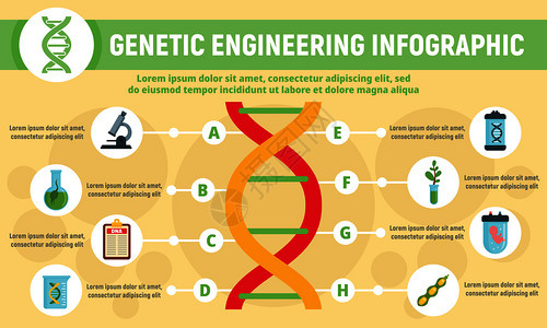 遗传工程信息学用于网络设计的遗传工程矢量信息学的平面插图图片