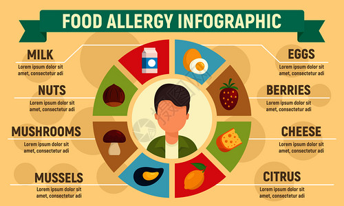 食物过敏病媒信息图的平面用于网络设计图片