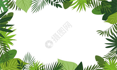 卡通热带植物背景设计图片