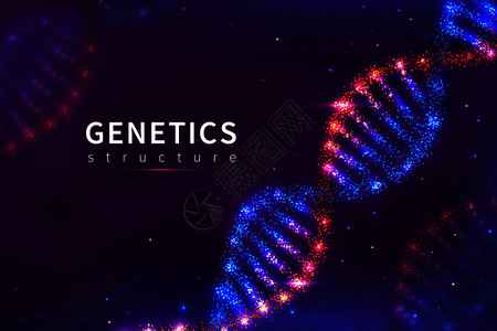 dna背景遗传结构生物技术3d人类基因组3d人类病媒示范海报结构模型分子螺旋遗传dna背景示范矢量海报图片
