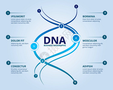 dna信息量螺旋人类生物学结构载体医科概念供您使用化学信息量结构图解信息量图载体医学科概念文本的位置图片