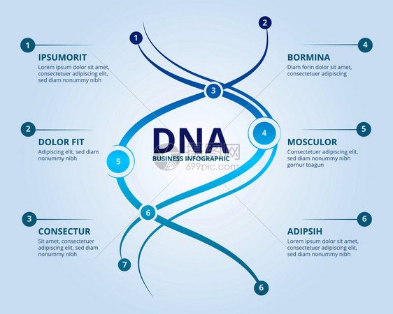 dna信息量螺旋人类生物学结构载体医科概念供您使用化学信息量结构图解信息量图载体医学科概念文本的位置图片