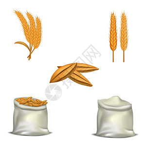大麦小跳模型组现实的5个大麦小跳模型用于网络大麦小跳模型组现实的风格图片