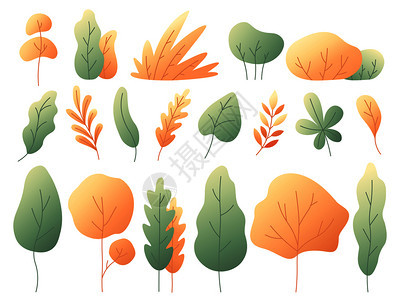 多色秋叶和植物图片