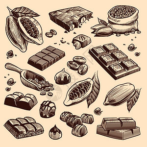 可和巧克力豆咖啡种子巧克力条和糖果手画甜品孤立的病媒传统古老的果汁糖可和咖啡种子孤立的传粉甜品肉汁巧克力糖果零食图片