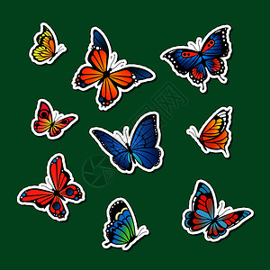 彩色蝴蝶贴纸插图图片