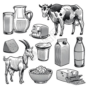 手工提取奶制品农牛和山羊奶制品农牛和山羊奶健康新鲜产品奶油和山羊健康新鲜产品奶油和山羊制品油和山羊制品图片