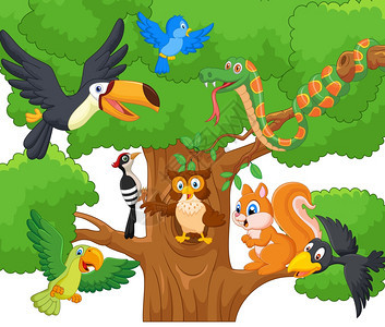 卡通可爱森林中的各种动物矢量插画图片