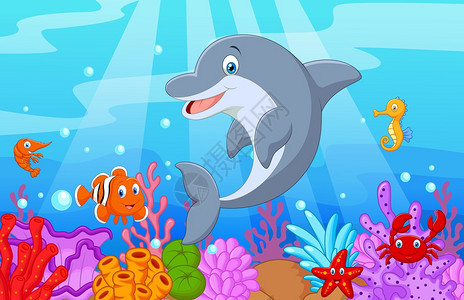 深海世界海豚图片