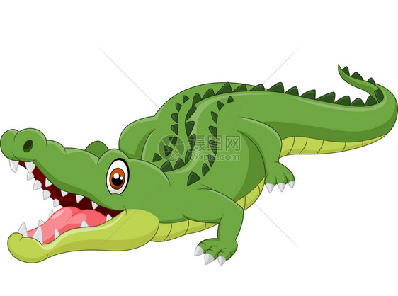 卡通可爱的鳄鱼图片