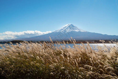 日本秋天的川口湖景色图片