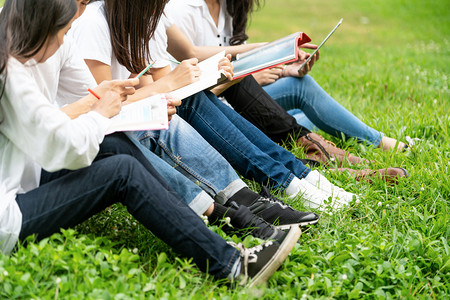 在草地集体学习的青年大学生图片