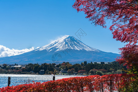 日本富士山湖边旁景色背景图片