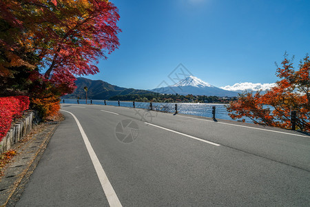 川口湖沿岸的公路风光图片