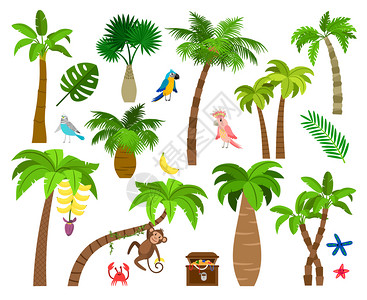 热带棕榈树各种鹦鹉和猴子矢量元素背景图片