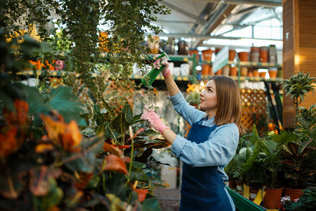 女卖方在园艺店给植物浇水图片