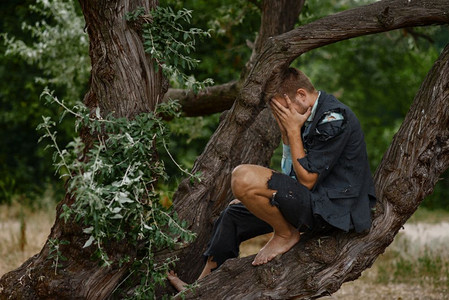 破产的男性商人坐在树上双手捂脸图片