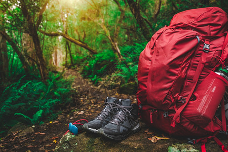 塔斯马尼亚雨林岩石上红背包和徒步装备图片