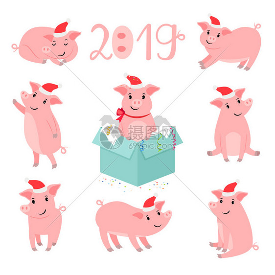 圣诞猪肖像矢量插图冬季可爱的粉红猪肉宠物在白色背景中被孤立图片