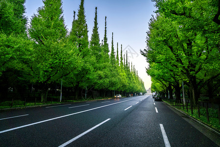 日本夏天的柏油马路图片素材