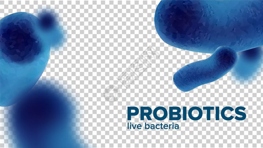 活鲍鱼微生物实验室研究微生物概念模板符合实际的三维图解微生物活蓝细菌病媒设计图片