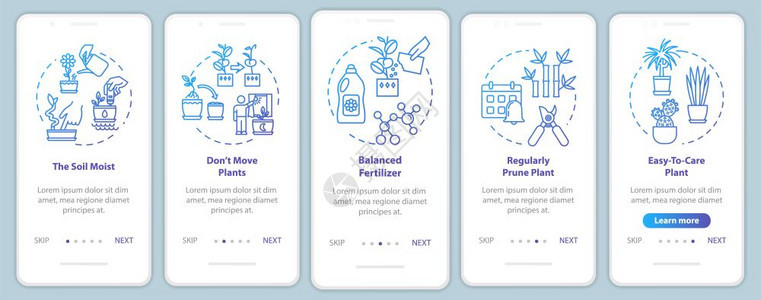 草药种植通过五步图示指ui矢量模板配有rgb颜色插图图片
