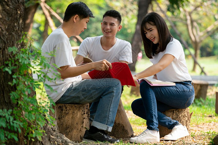 学生们在草地上看书图片