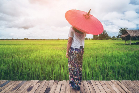 女旅行者在亚洲稻田中旅行图片