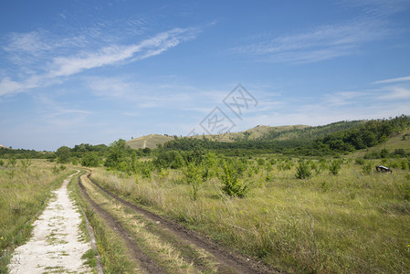 萨马拉地区的植被景观图片