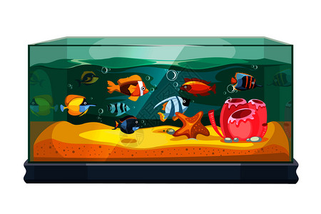 鱼缸里的各种鱼类卡通矢量插画图片