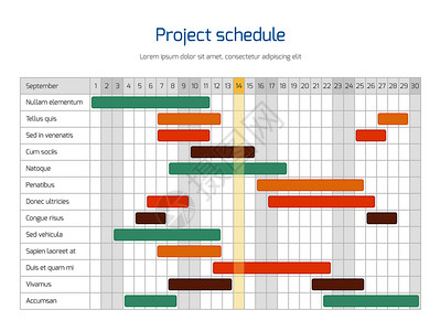 项目规划项目时间表图概览规划时间表矢量图项目信息表业务计划插画