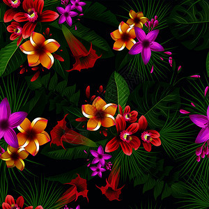 植物和彩色花朵的植物热带模式有色天然花朵的园有色热带卉的园有色卉热带植物花叶和树枝背景矢量图图片