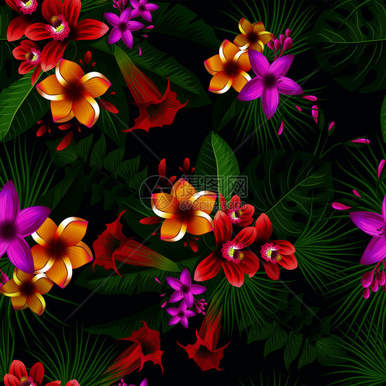 植物和彩色花朵的植物热带模式有色天然花朵的园有色热带卉的园有色卉热带植物花叶和树枝背景矢量图图片