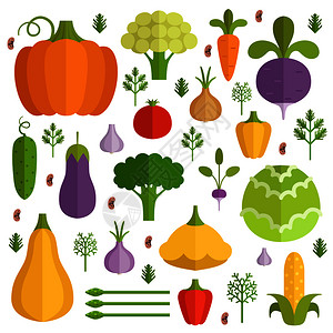 不同的蔬菜卡通矢量插画图片