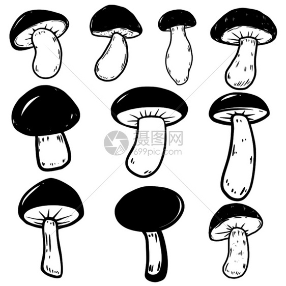 白色背景上的一套蘑菇插图海报徽章符号图片