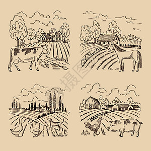 农牧业和畜景观一套用于追溯式插图村庄景观包括农畜病媒村庄和大田农牧业畜景观图片