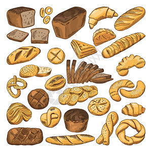 彩色手绘新鲜面包和不同种类食品羊角和其他食品的图片面包零食新鲜插图彩色手绘新鲜面包和不同种类食品的图片面包羊角和其他食品图片