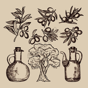 装瓶橄榄油树和其他手摘食物橄榄树和油瓶有机物矢量说明图片