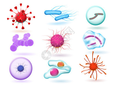 现实的三维微生物细菌各种自然微生物和流感科学细胞隔离媒集自然微生物和孤立媒集图片