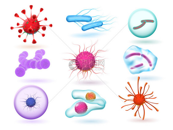 现实的三维微生物细菌各种自然微生物和流感科学细胞隔离媒集自然微生物和孤立媒集图片