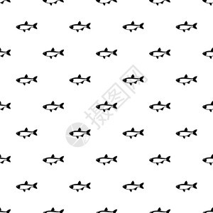 鱼类深海鱼小丑鱼蝴蝶鱼矢量背景图图片