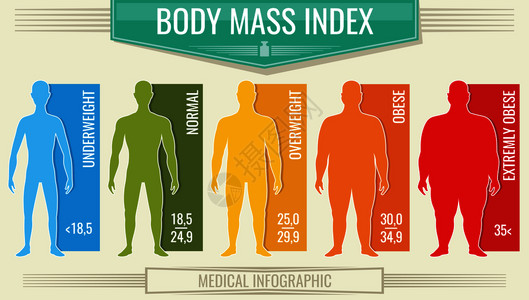 体重指数人病媒身体健康指数bmi图表带有男轮长和比例背景图片